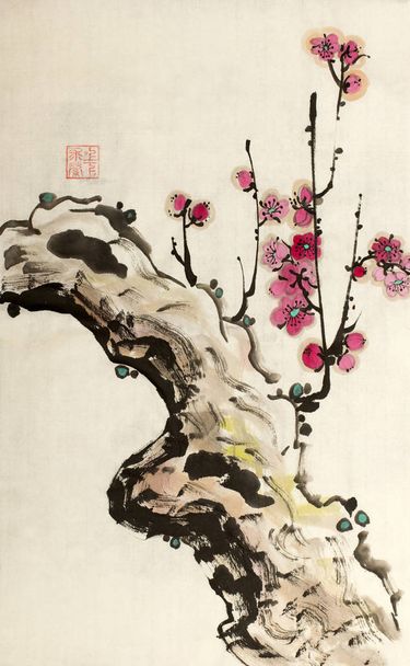 Chinese plum blossom branch - Foto, imagen