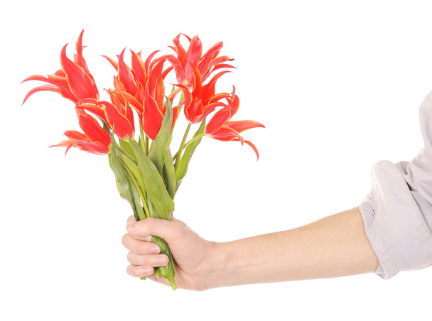 Hand holding flowers - Photo, Image