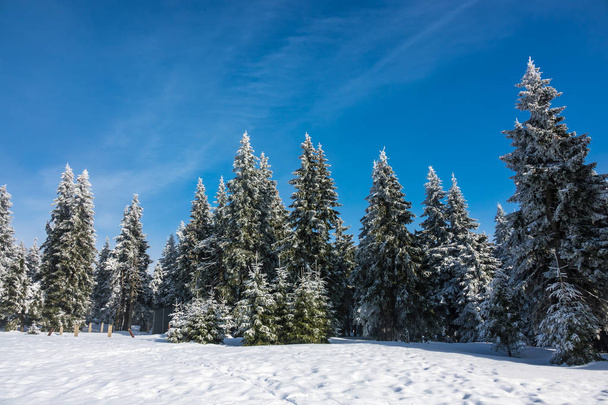 Zima se sněhem v Krkonoších, Česká republika - Fotografie, Obrázek