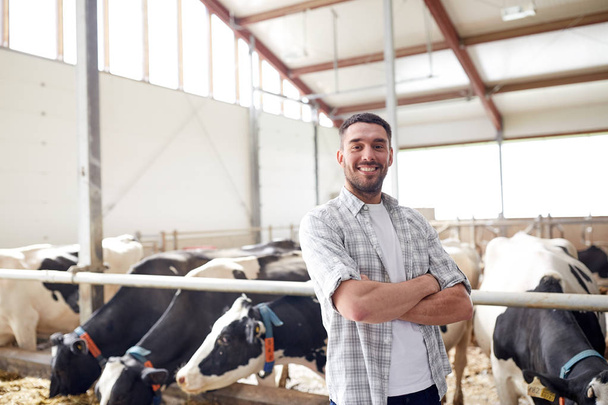 man or farmer with cows in cowshed on dairy farm - Foto, Bild