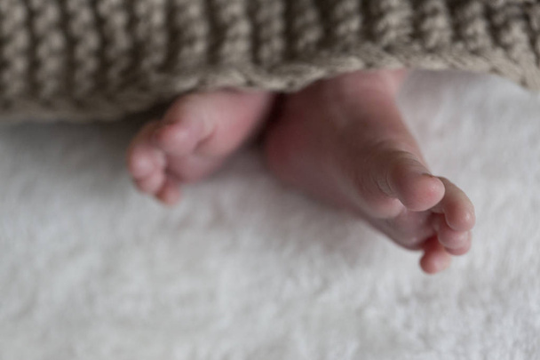 newborn baby feet lying on white blanket - Valokuva, kuva