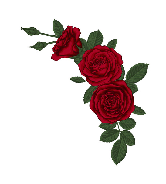 Gyönyörű csokor vörös rózsákkal és levelekkel. Virágkötészet. - Vektor, kép