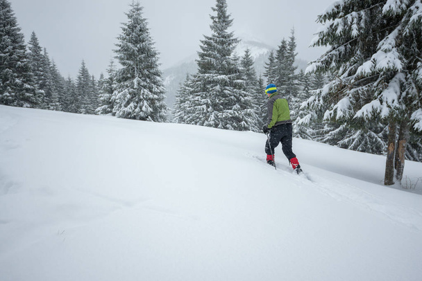Man traveler goes in snowshoes through the alpine meadow - Foto, Bild