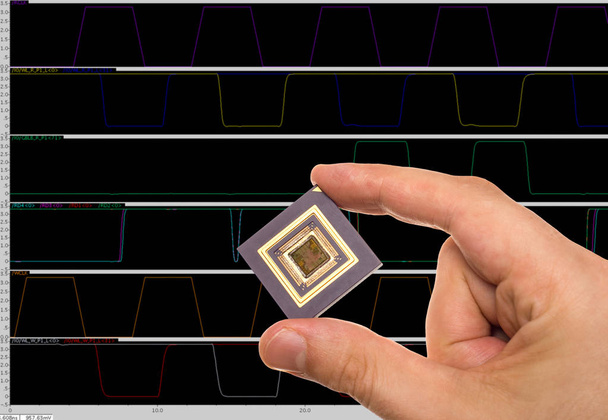 Microprocessor in hand - Foto, afbeelding