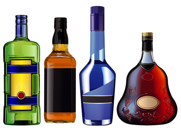 Alchohol bottles set - Vector, Image