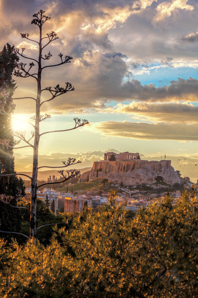Świątynię Partenon na Akropol przeciwko kolorowy zachód słońca w Ateny, Grecja - Zdjęcie, obraz