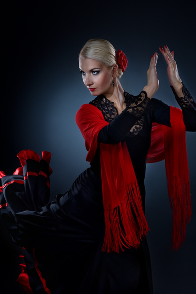 Kaunis flamenco tanssija
 - Valokuva, kuva