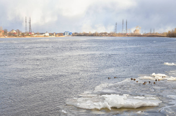 Wybrzeże rzeki Newy na przedmieściach Sankt Petersburga. - Zdjęcie, obraz