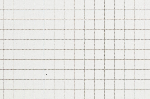 Paper texture with line or grid - Photo, Image