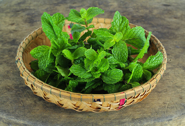 φύλλα δυόσμου, αρωματικά βότανα, που χρησιμοποιούνται ως συστατικά για την παρασκευή παγωτού και τσάι από βότανα - Φωτογραφία, εικόνα