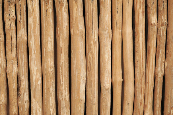 Raw wooden poles used for fencing - Fotografie, Obrázek