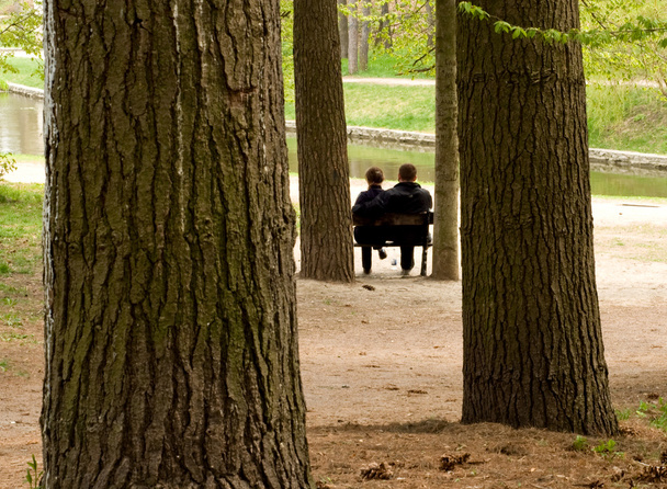 Loving couple on a bench - Foto, Imagem