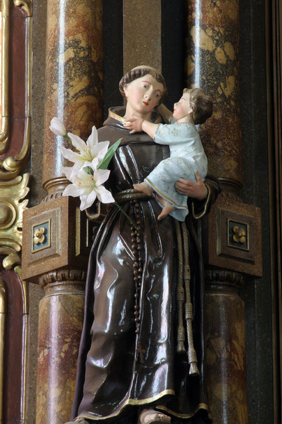 Sint Antonius van Padua - Foto, afbeelding