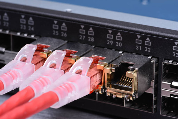Technology devices, network switch with patch cord cables - Photo, Image