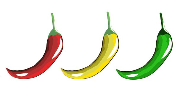 burning red yellow and green peppers - ベクター画像