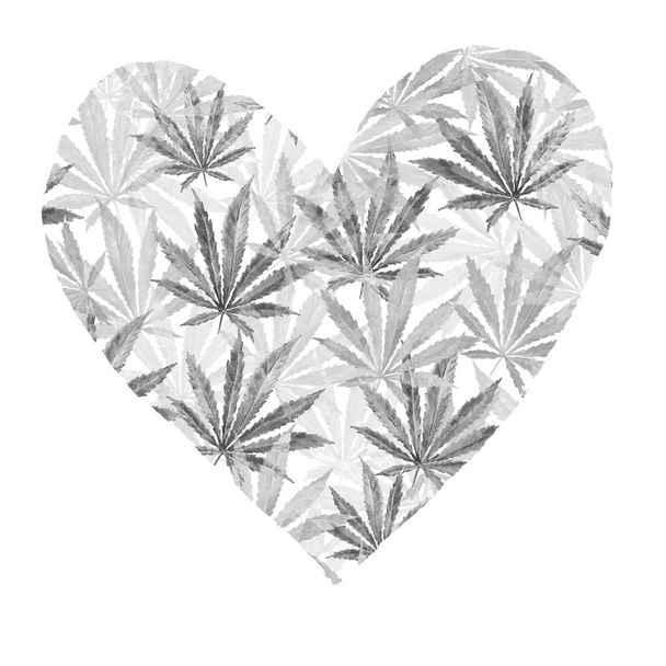 Heart of gray cannabis sativa leaves - Foto, Imagem