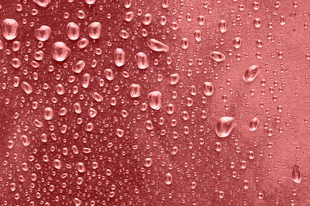 Many water drops for background - Fotografie, Obrázek