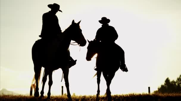 cowboy ratsastajat auringonlaskun aikaan
 - Materiaali, video