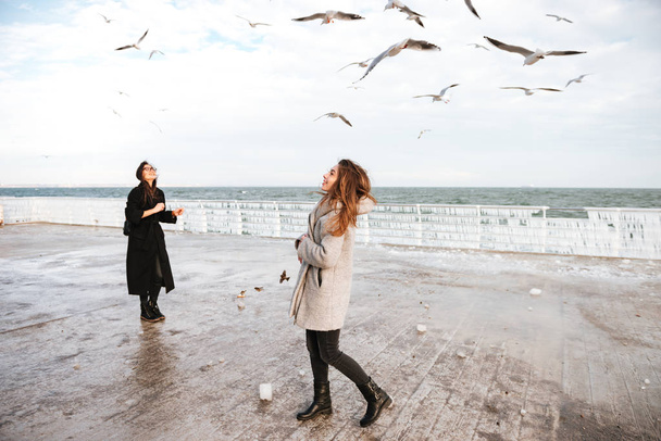 Two cheerful women standing looking at seagulls in the sky - 写真・画像