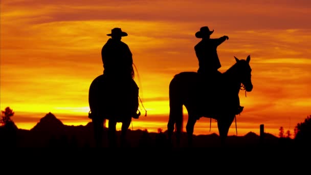 Cowboy renners op het gebied van de wildernis  - Video