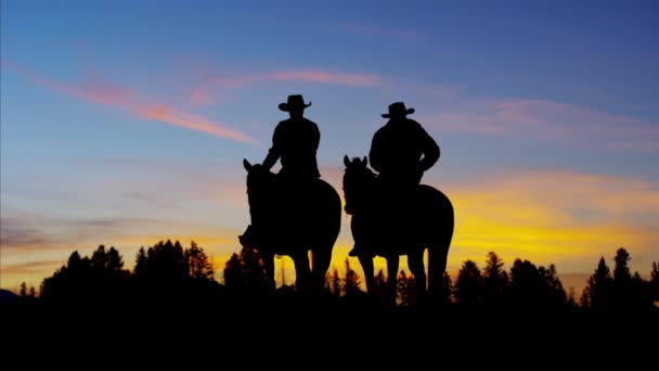 Cowboy renners op het gebied van de wildernis - Video