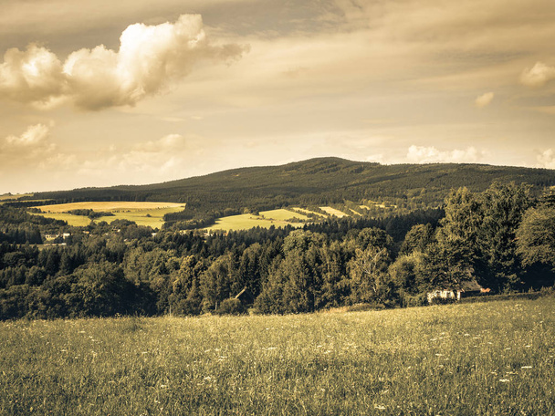 Avrupa kırsal kesimde yaz, yaşlı fotoğraf - Fotoğraf, Görsel