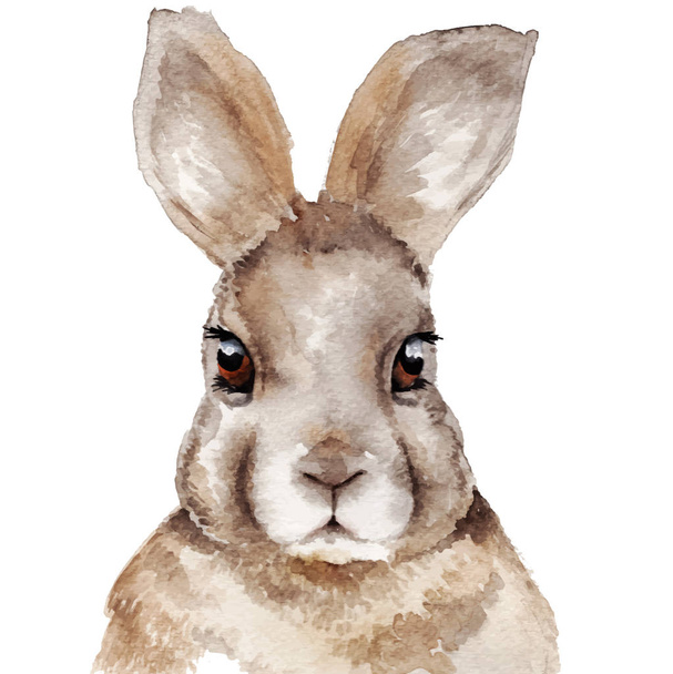 Watercolor rabbit portrait - Vector, Image