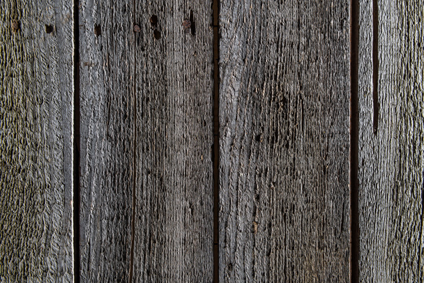 Fondo de madera gris
 - Foto, Imagen