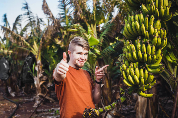 Farmář dává palec nahoru na banánové plantáže - Fotografie, Obrázek