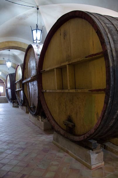 eski şarap mahzenleri - Fotoğraf, Görsel