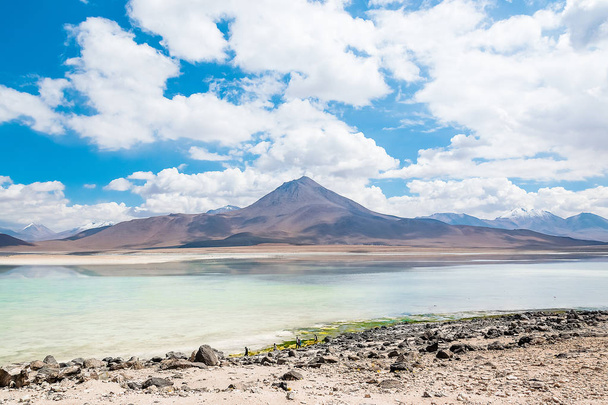 Зелені лагуни (Лагуна Верде), Уюні, Болівія - Фото, зображення