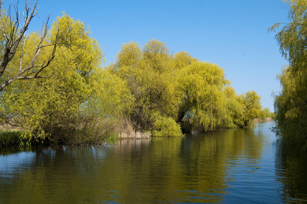 Danube Delta Springtime - Photo, Image