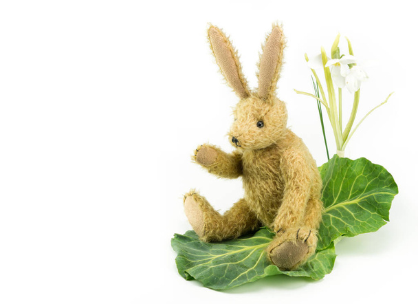 Conejo ondulante conejo vintage juguete suave. Copiar espacio
. - Foto, Imagen