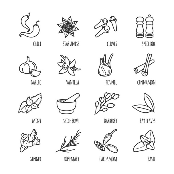 Especias y condimentos esbozan iconos web
 - Vector, Imagen