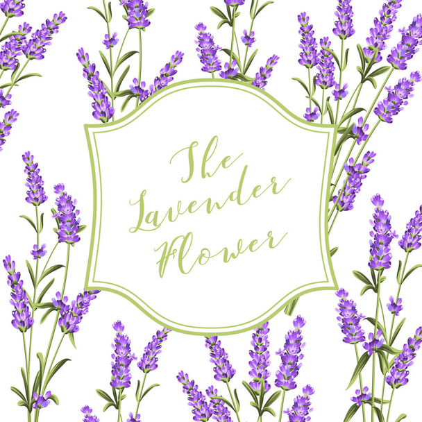 Lavendel teken label. - Vector, afbeelding