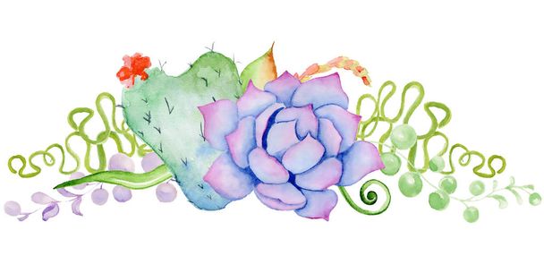 Succulent  bouquet. Cactus in the shape of a heart. Boho style for your design.  - Fotografie, Obrázek