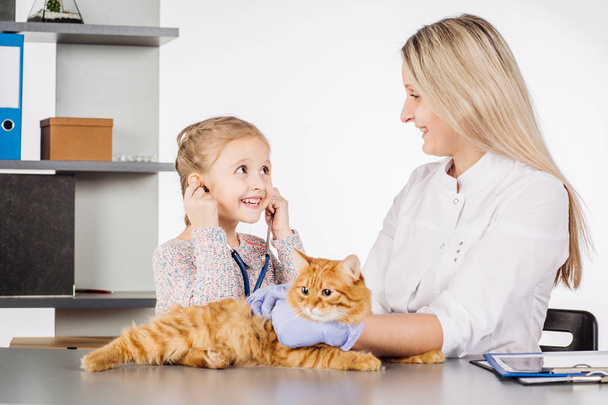 female vet and girl with kitten in clinic  - Φωτογραφία, εικόνα