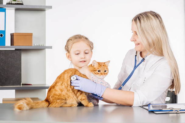 female vet and girl with kitten in clinic  - Foto, afbeelding