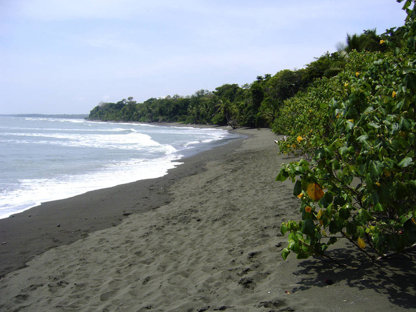 Kansallispuiston ranta corcovado niemimaa osa costa rica Keski-Amerikka
 - Valokuva, kuva
