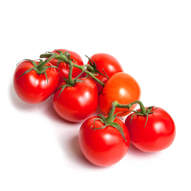 tomatos isolated in white - 写真・画像