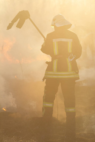 Пожарные сражаются с лесным пожаром
 - Фото, изображение