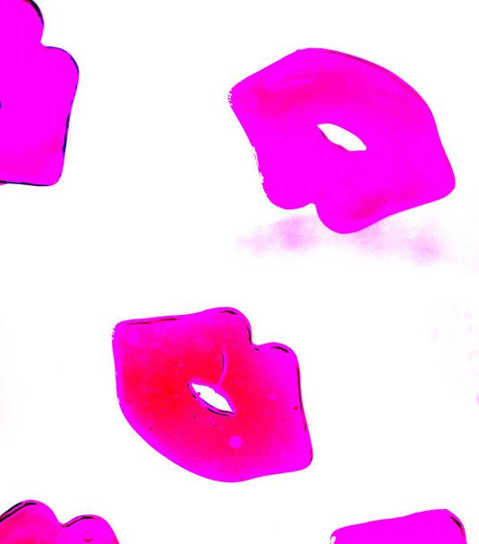 Красная помада для губ
 - Фото, изображение