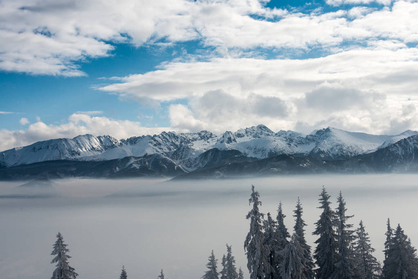 гарні зимовий пейзаж
  - Фото, зображення