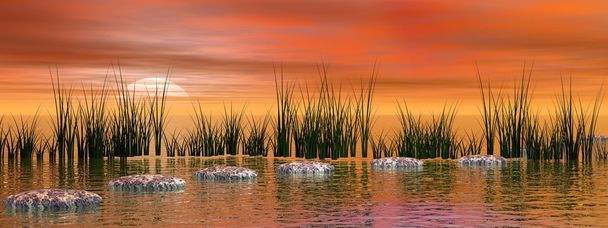 Мирный закат над природой
 - Фото, изображение