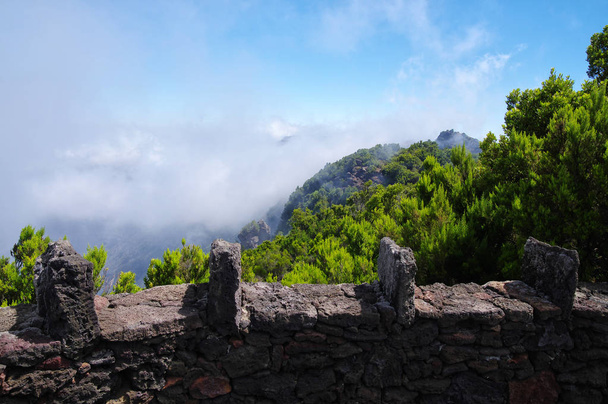 El Hierro - Alrededores de Mirador de Jinama, Islas Canarias, España
 - Foto, Imagen