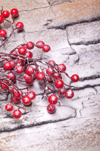 Красные зимние ягоды с порошковым снегом
 - Фото, изображение