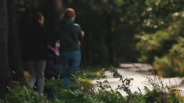 Tytöt pari kävelee lapsen ja vauvan kuljetus pitkin tietä metsässä
 - Materiaali, video