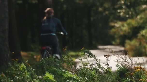 Αγριολούλουδα μπροστά από ένα δρόμο με άσφαλτο σε ένα δάσος. Ζευγάρι βόλτες με ποδήλατα - Πλάνα, βίντεο