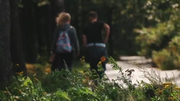 Αγριολούλουδα μπροστά από ένα δρόμο με άσφαλτο σε ένα δάσος. Ζευγάρι περπατά από - Πλάνα, βίντεο