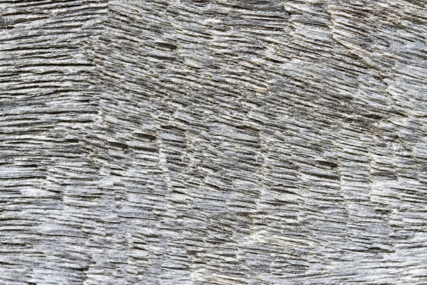 Fa szürke textúra a háttérhez  - Fotó, kép